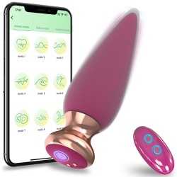 app and remote control vibrating anal plug