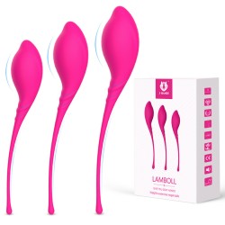 lamboll kegel vaginal exerciser kit